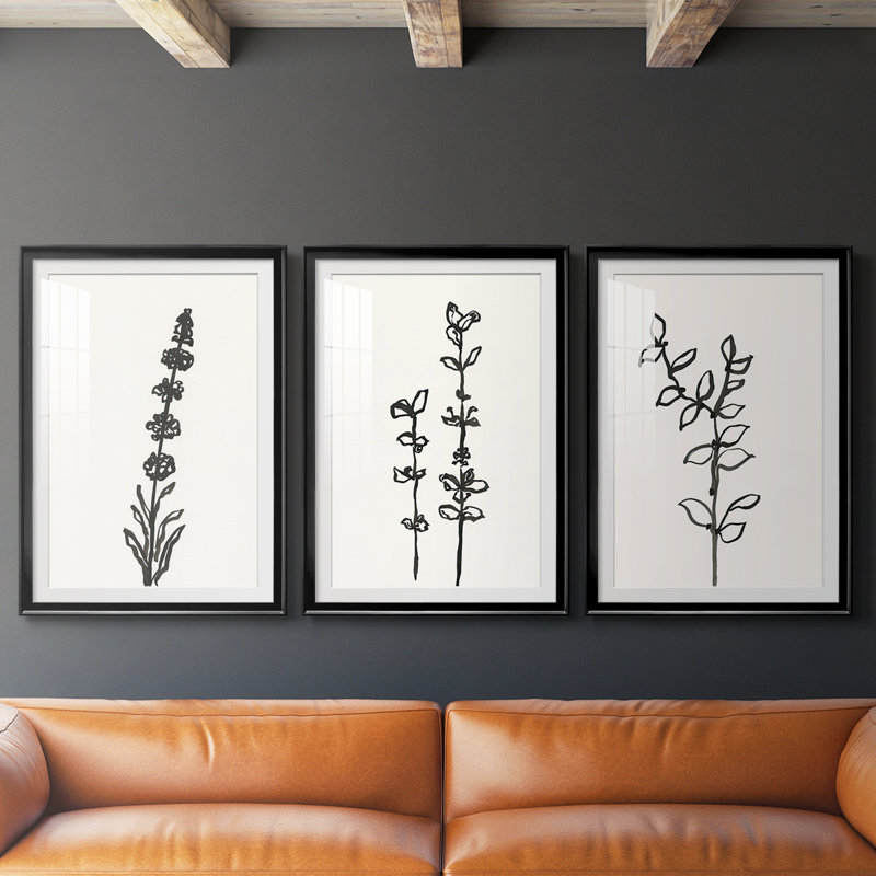 Encre botanique croquis VII - reproduction encadrée sur mesure de qualité supérieure - 3 pièces, H 15 po x l 19 po, Noir