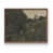 Noyer