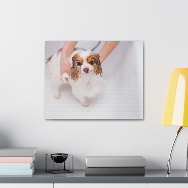No Frame Print on Canvas