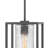 Pax Satin Black 1 -Bulb 15.25" H Outdoor Pendant