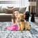 Alceo Washable Indoor Rug