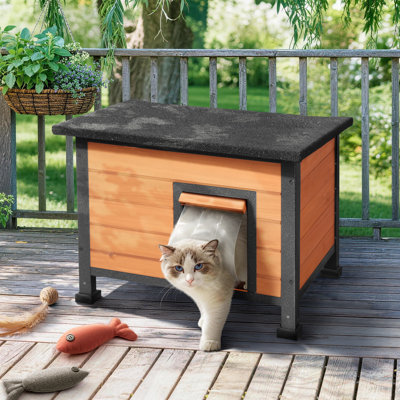Maison pour chat d'extérieur avec toit en asphalte - Abri pour animaux robuste en bois de sapin et en fer résistant aux intempéries pour chats, lapins, petits chiens