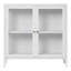 Shasa Display Cabinet-1588679248
