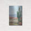 «Saguaro Cactus Study 2» par Ethan Harper-1426638737