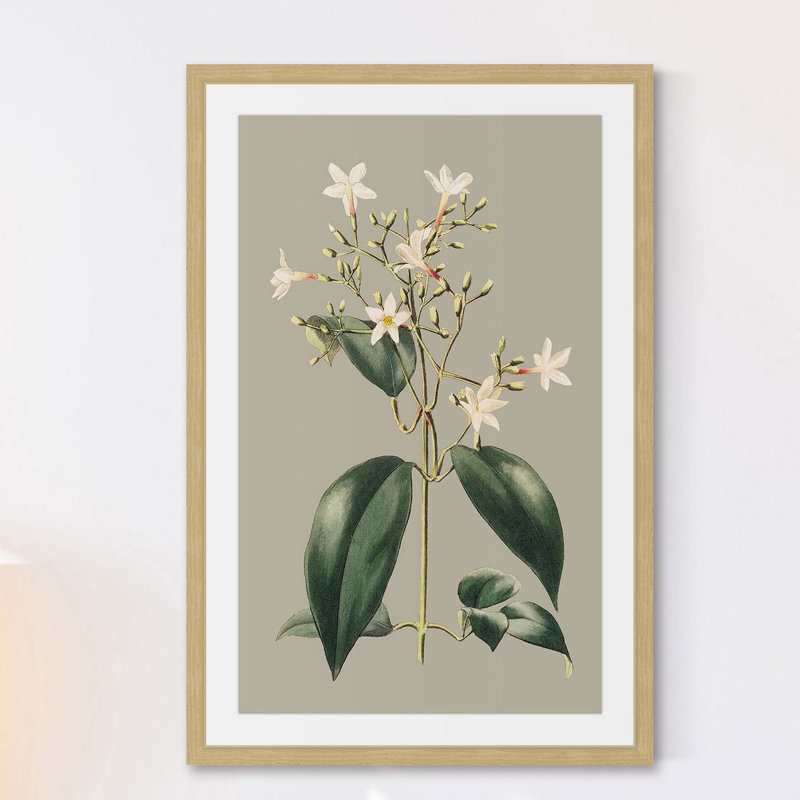 «Botanical Cabinet I», reproduction encadrée, H 24 po x l 16 po x P 1,5 po