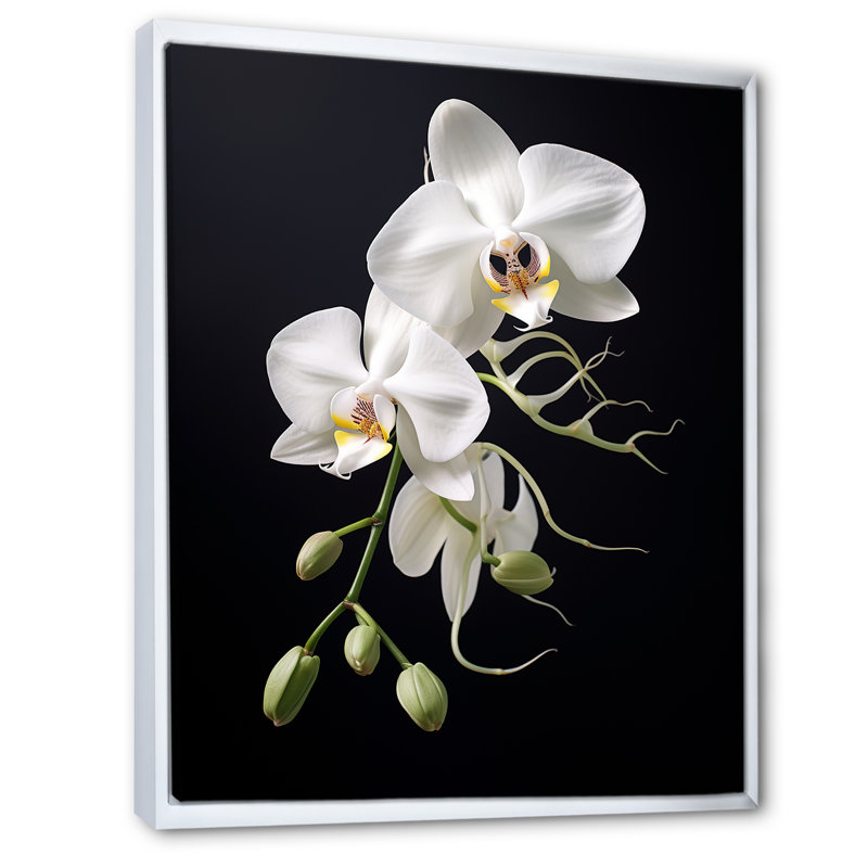 Orchidée délicate noire et blanche - décoration murale orchidée, H 44 po x l 34 po x P 1,5 po, Cadre flottant blanc