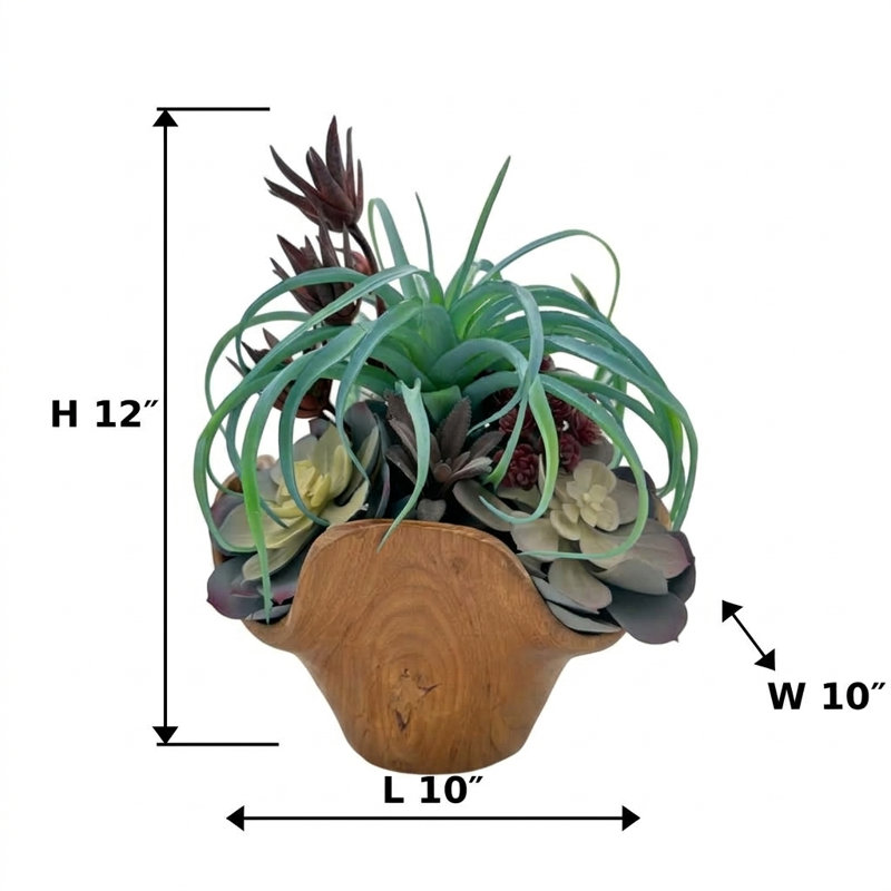 Arrangement de plantes grasses fabriquées à la main | Pièce maîtresse moderne en bois flotté rustique (10 po x 10 po x 12 po)