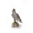 Northern Goshawk Standing on Rock Statue