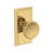 Lifetime (PVD) Polished Brass selected