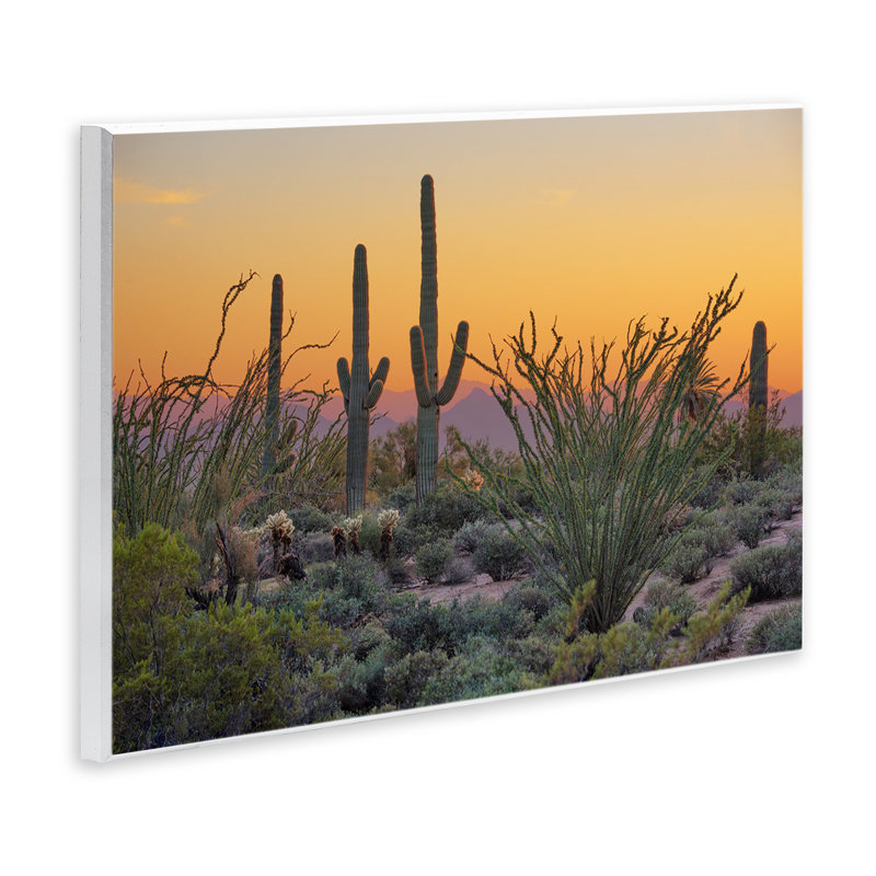 Coucher de soleil sur paysage désertique, cactus par Marty Hulsebos, H 13 po x l 19 po
