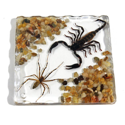 Silicone Square 1 Piece Coaster