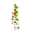 Sprays pour vignes-910233330