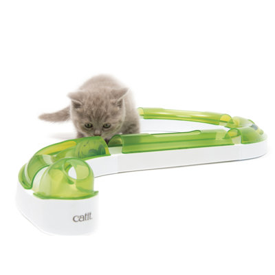Cat Senses Play Circuit