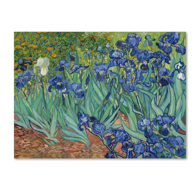 by Vincent Van Gogh Print