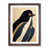 Walnut Framed Paper is unavailable
