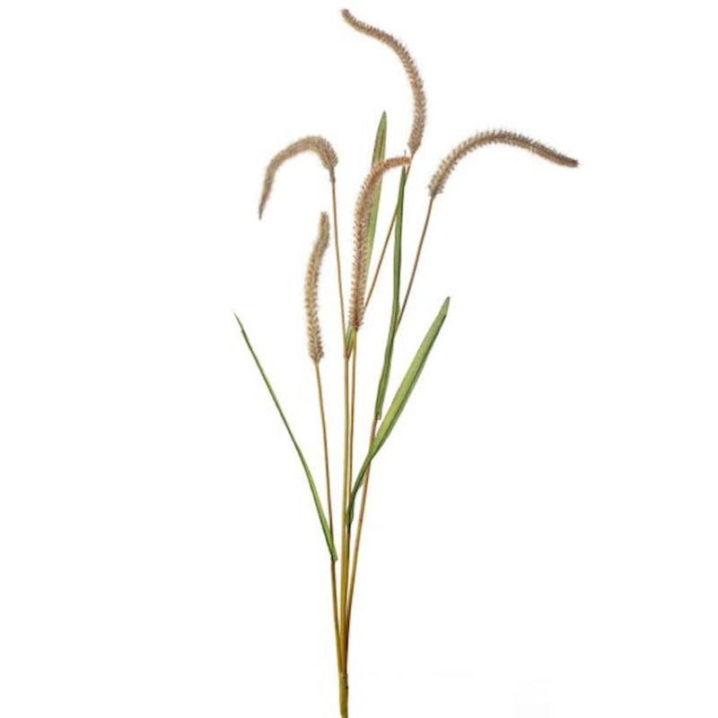 Faux plantes et arbres crème