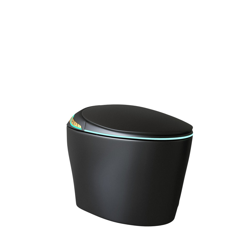 Smart One-piece Toilets, Ceramic Black, Modern Auto Features For Home