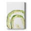 Lichen Halo IV - galerie sur mesure Cavas