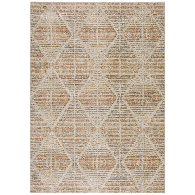 Caiomhe Washable Geometric Indoor Rug