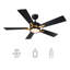 Quanique 52'' Ceiling Fan with LED Lights