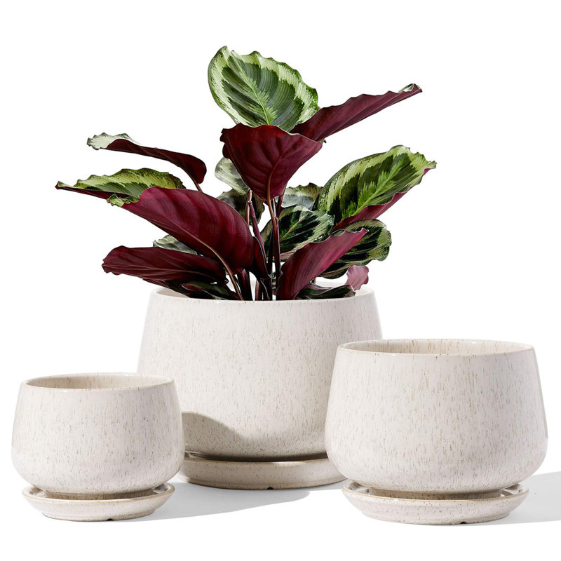 Ceramic Plant Pots 4.1+5.1+6.5 inch, Beige