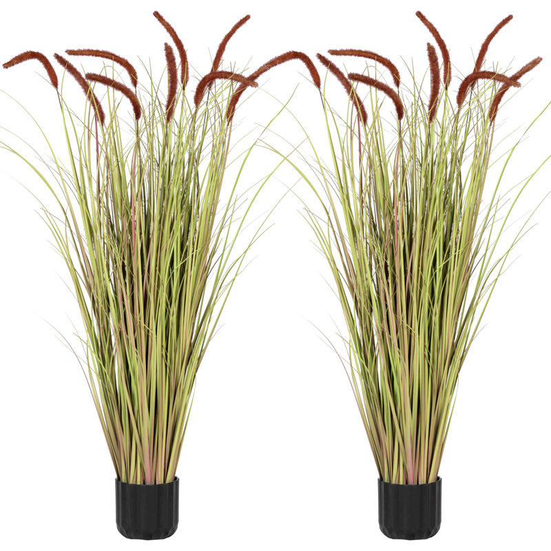47.24'' Reed Grass Plant