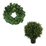 24" Holiday Magnolia Wreath with UV Rated Boxwood Drop-In