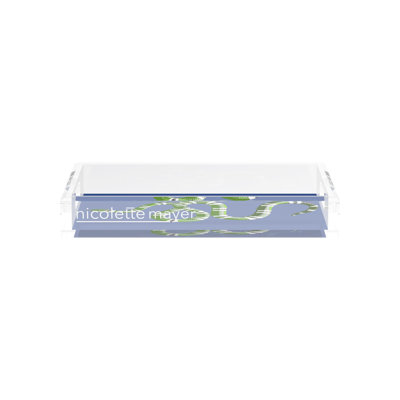 Serpent Acrylic Rectangle Decorative Tray