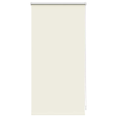 Room Darkening Roll-Up Blind