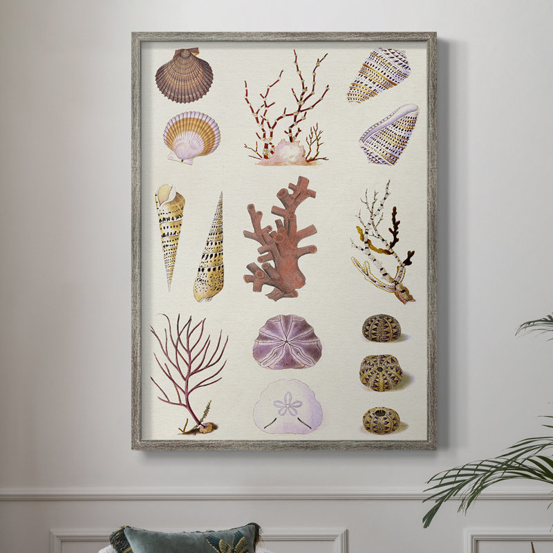 Coral & Shell Collage II, reproduction encadrée - bois massif, H 11 po x l 9 po