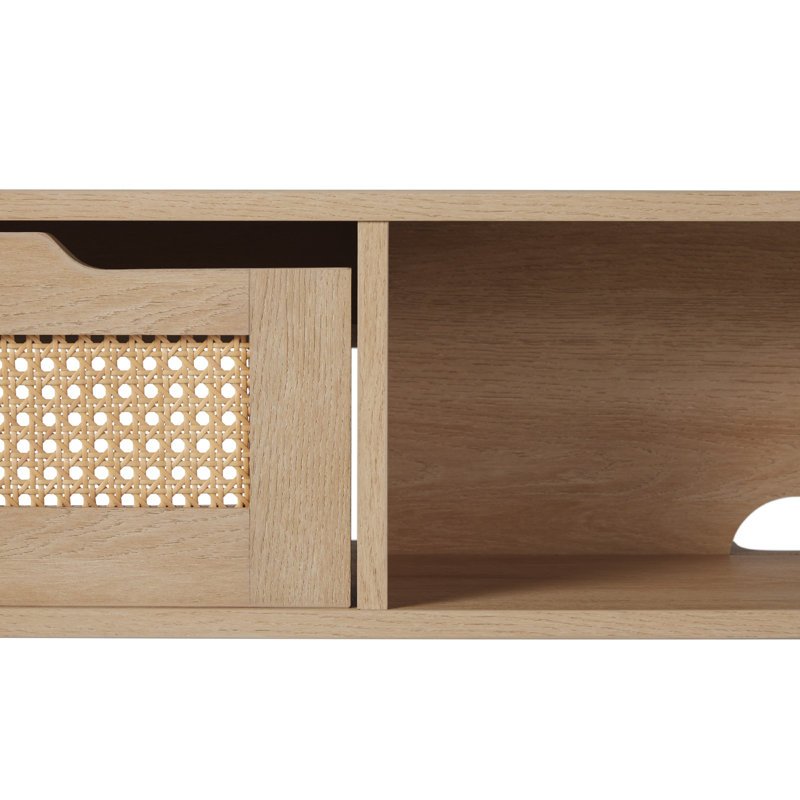 Petoskey Floating Wall Mounted TV Stand with 2-Dropdown Doors, Coastal Oak, 58" W