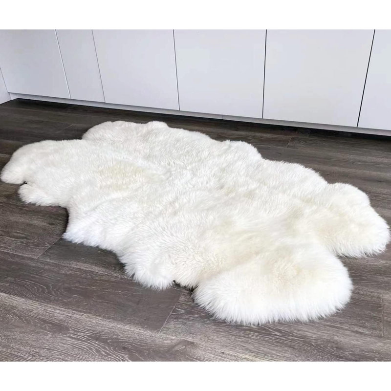 Area Rug