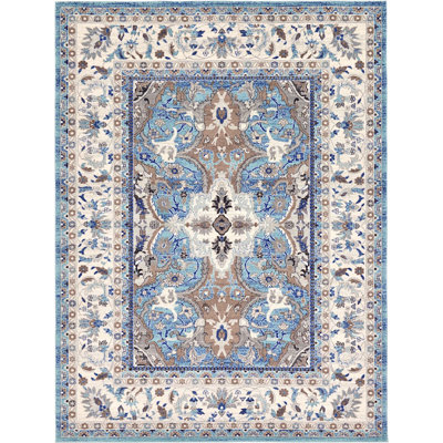 Kasha Oriental Indoor Rug