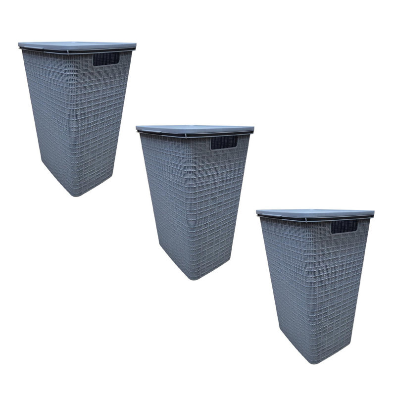 Panier à linge en rotin en plastique avec couvercle à charnières Latitude Run®, Gris clair