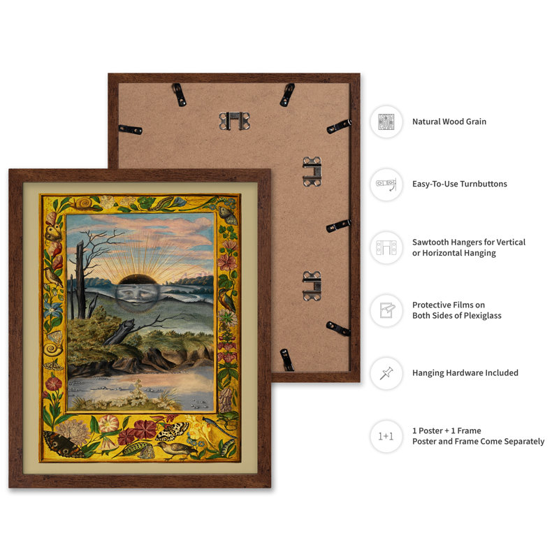 Splendor Solis, Poster, 18"H x 24"W, Brown Framed