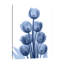 Indigo Spring Tulips - Wrapped Canvas Print-1687682289