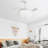 Donnice 42'' Ceiling Fan with LED Lights