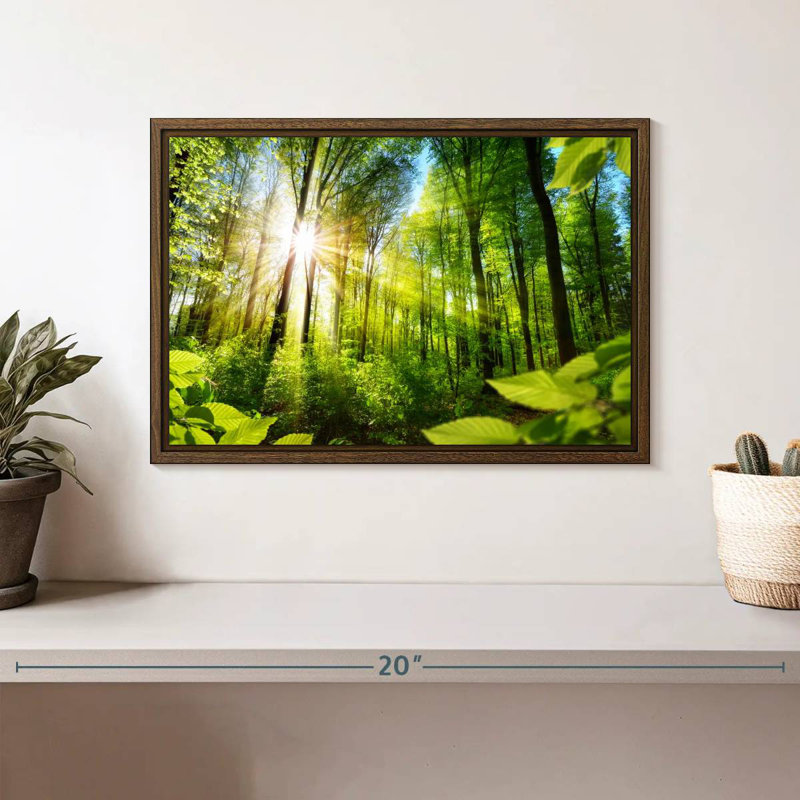 Forêt ensoleillée, 13 po x 9 po, Cadre flottant noyer