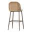 Franco 39.4'' Outdoor Bar Stool with Cushion-1573284415
