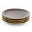 4 Piece 10.25 Inch Stoneware Dinner Plate Set