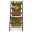 Jardin vertical en plastique Sweetgrove-1702912395