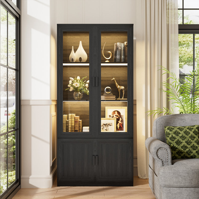 Vitrine Curio avec portes en verre, bibliothèque avec lumières à DEL, noir