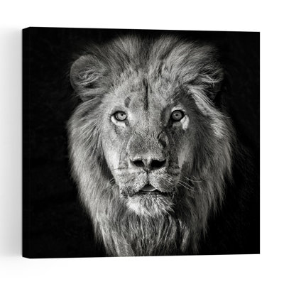 Regal Lion Portrait Contemporary Wall Art Print 1 Piece Wrapped Canvas Wall Art