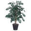 Ficus artificiel en pot 36 po Sakaki