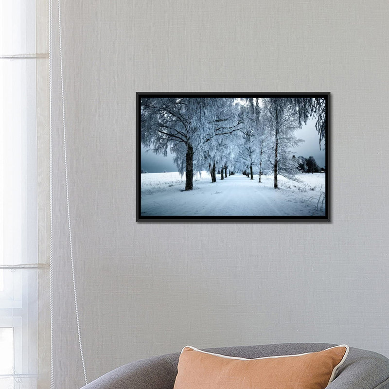 «Frozen Avenue», reproduction de photo sur toile, H 18 po x l 26 po x P 1,5 po, Toile avec cadre noir, Pas de tapis