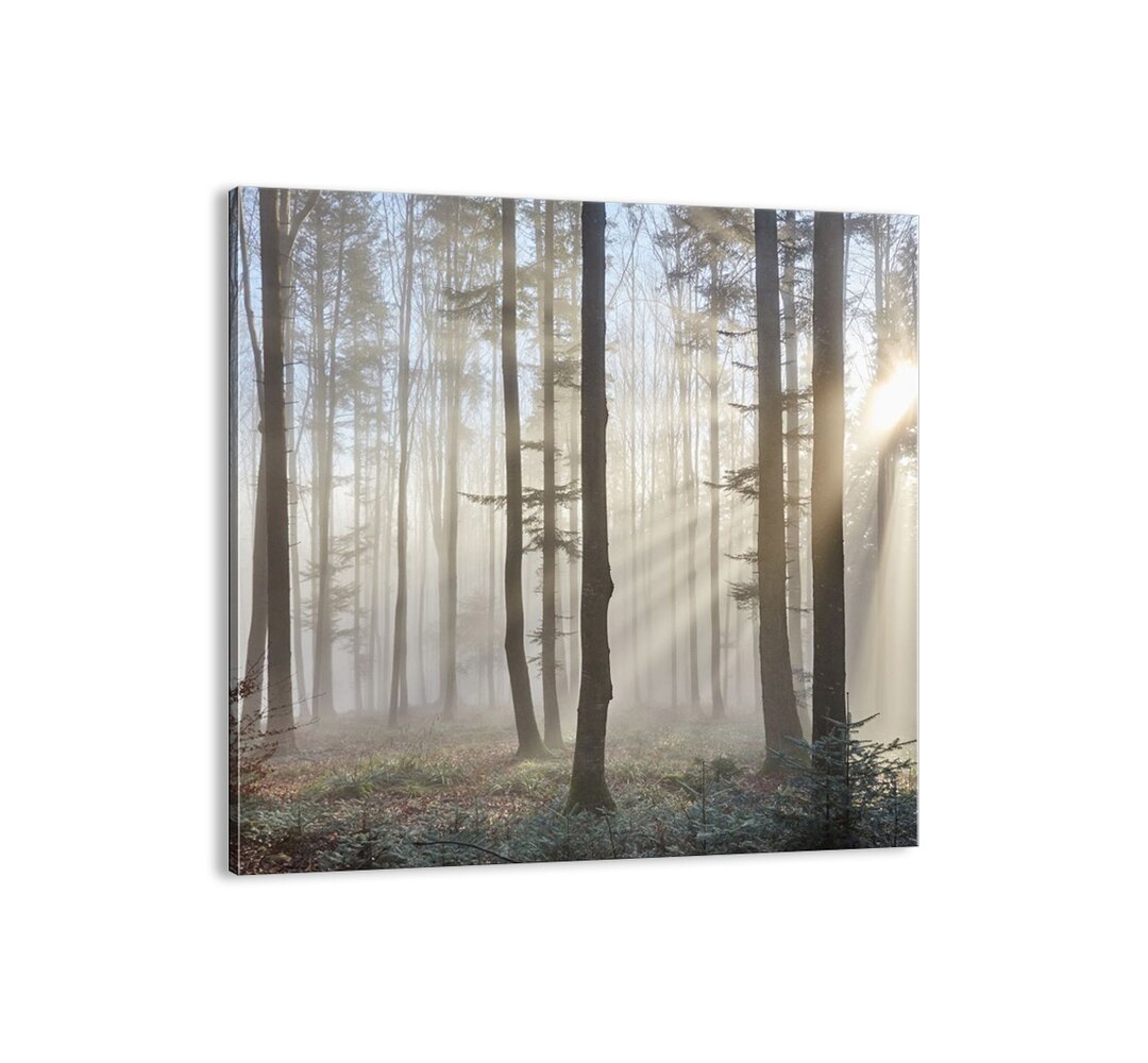 Leinwandbild - Fotografie „The Fog Has Also Woken up”