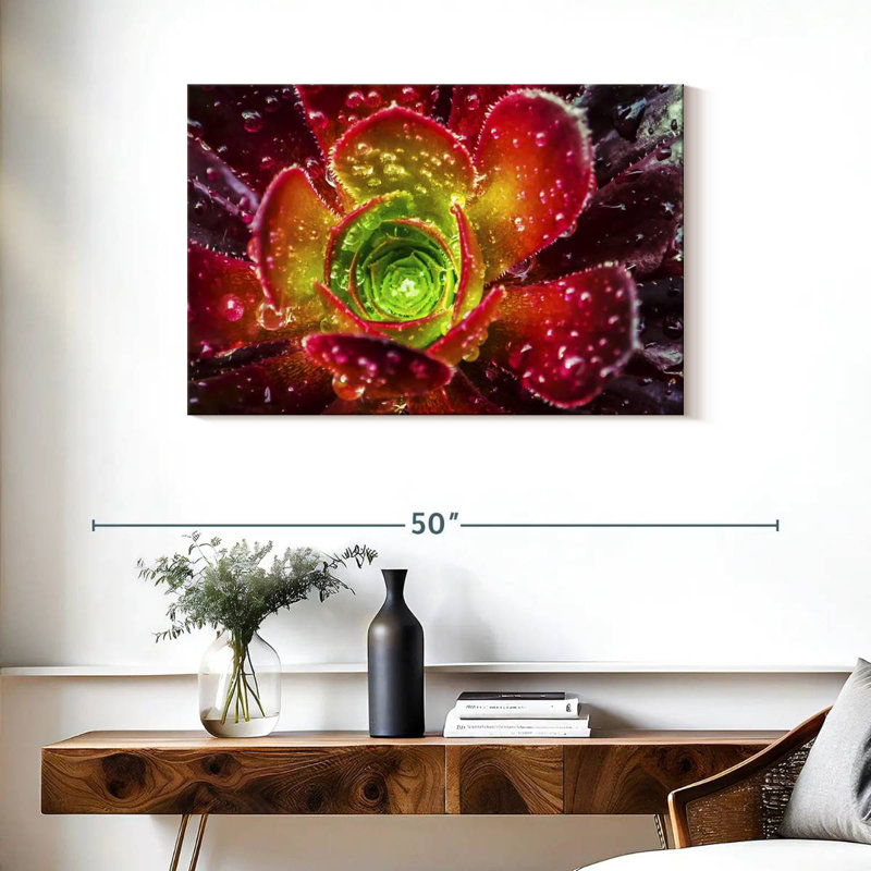 Harnek Dewy Floral Succulent
