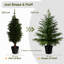Faux Tree in Nursery Pot-134969715