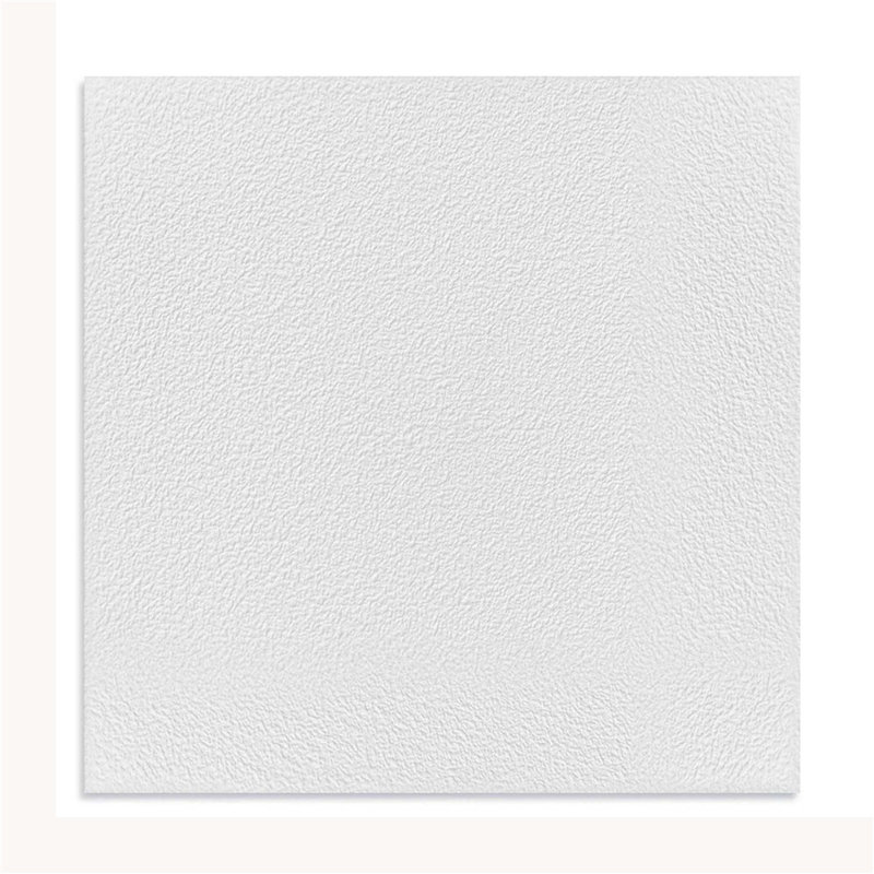 Carreau de plafond 23,74 po x l 23,74 po