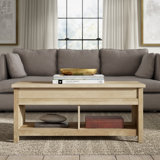 Mccaslin Coffee Table